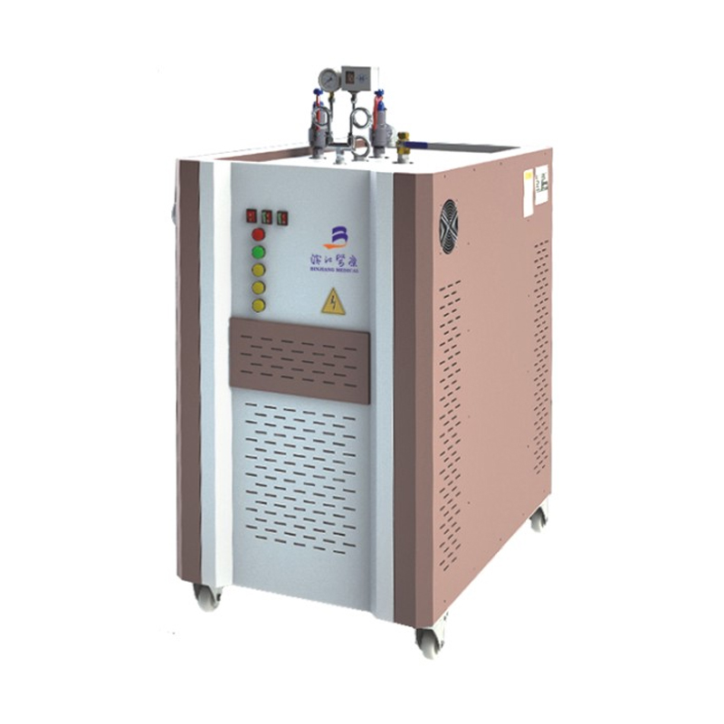 Generatore di vapore elettrico